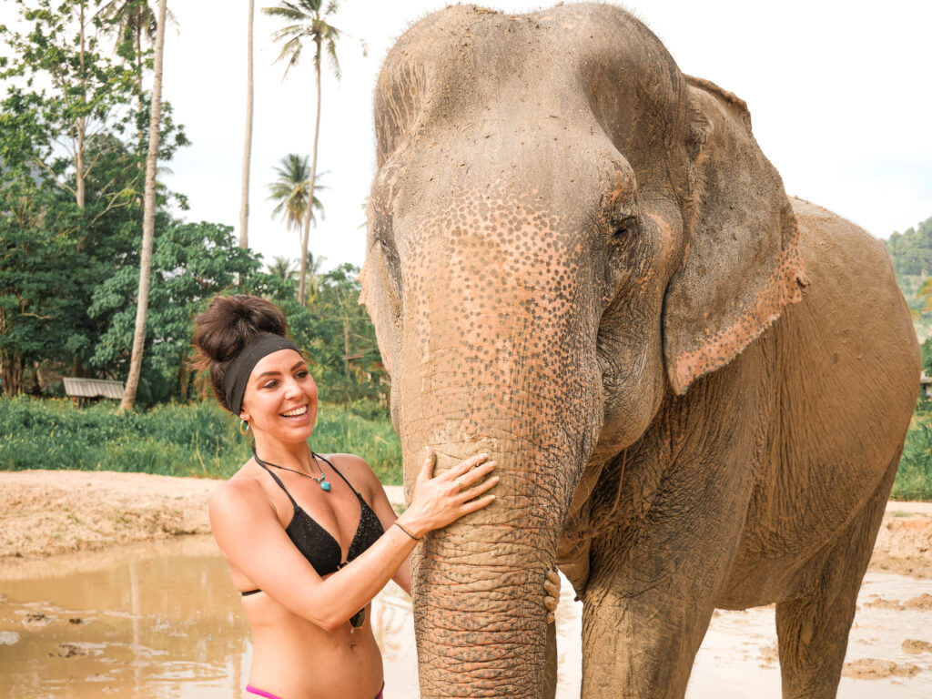 Mud bath with the elephant at Ao Nang Elephant Sanctuary