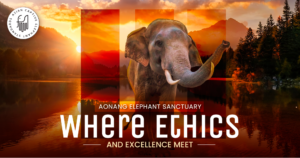 Aonang Elephant Sanctuary ethics