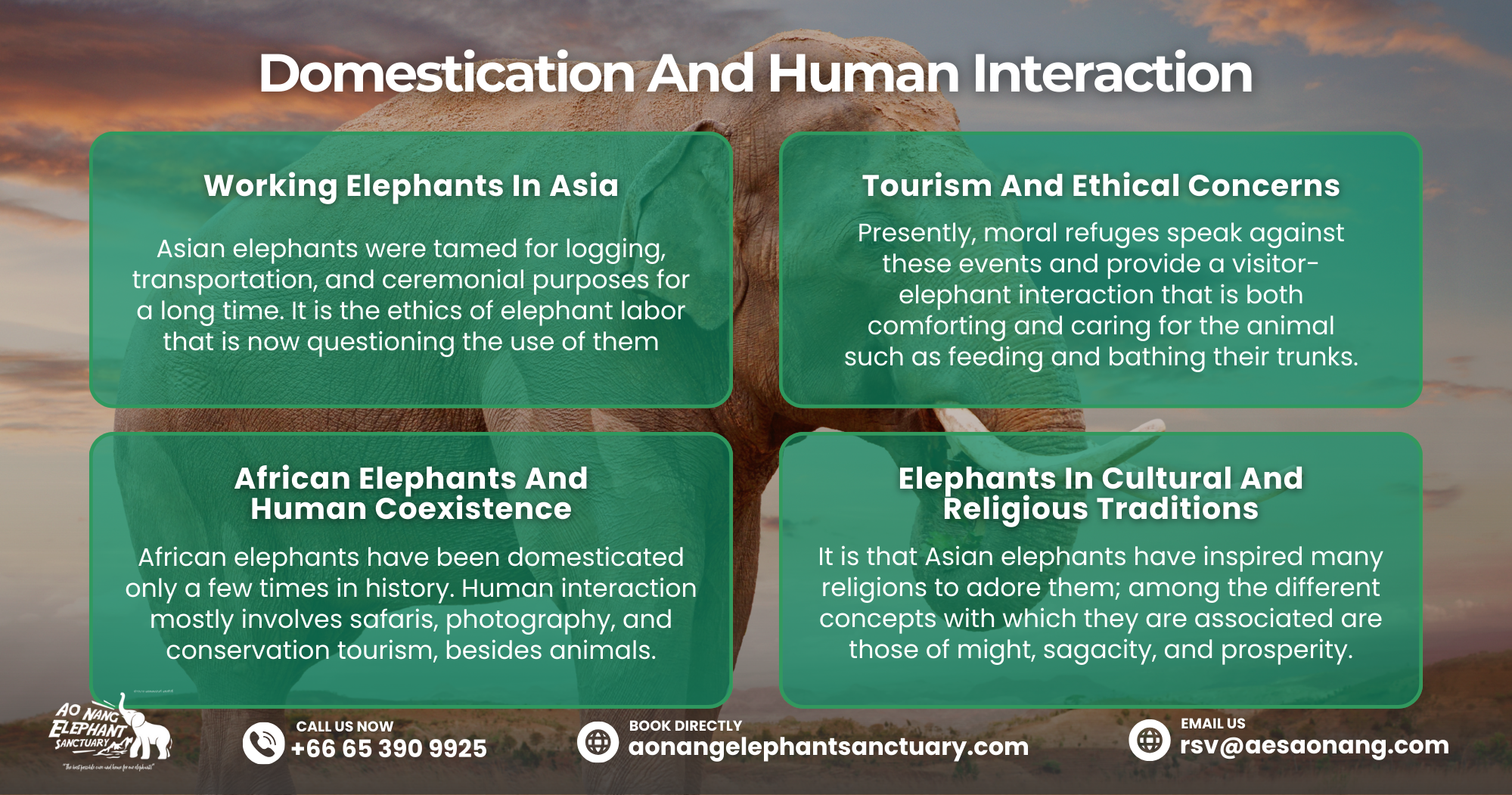 Asian Elephant Vs African Elephant-Domestication And Human Interaction