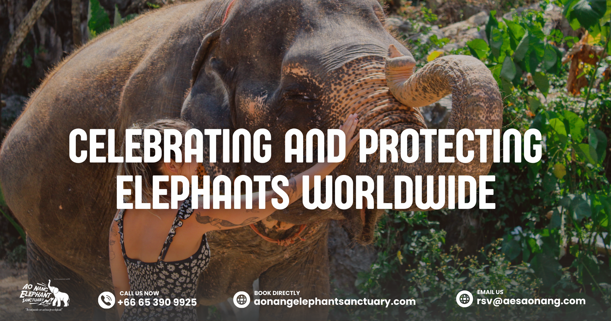 Celebrating And Protecting Elephants Worldwide