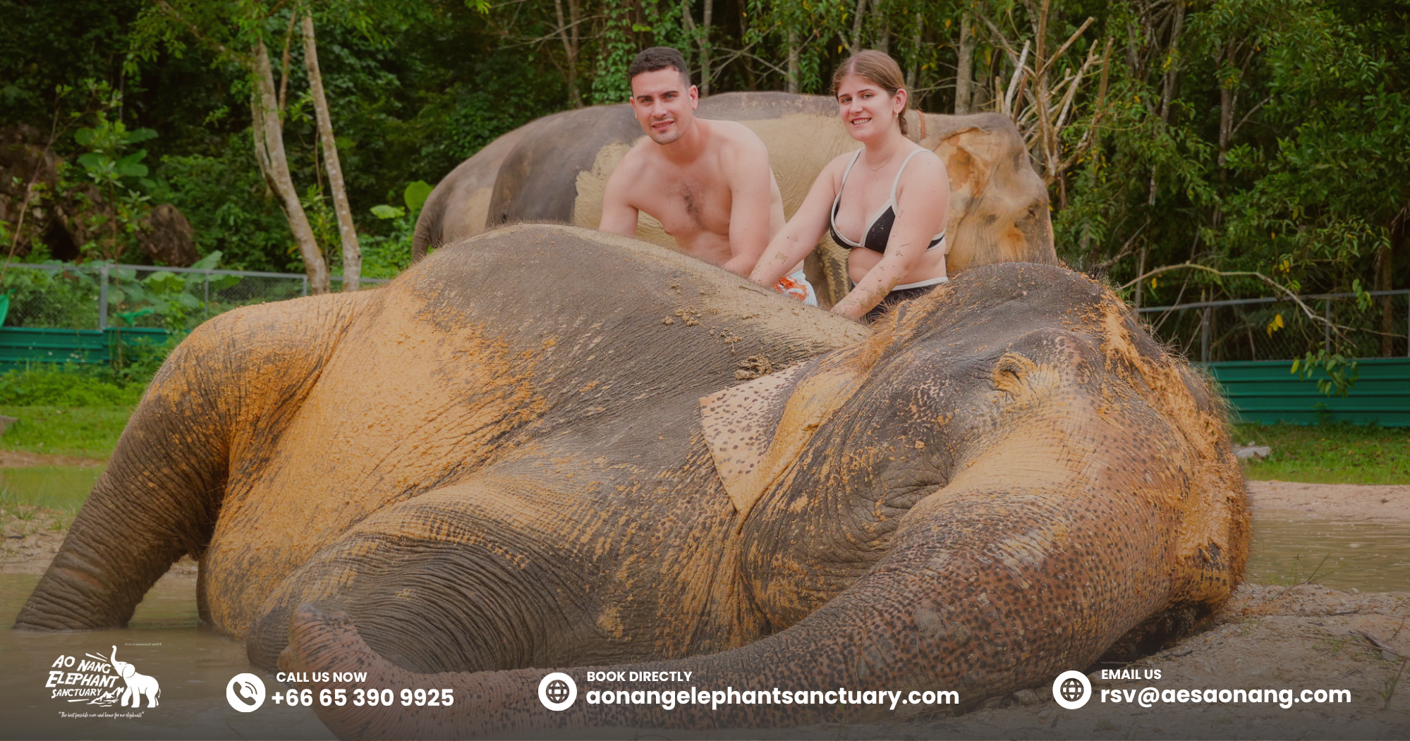 Best tike to visit Ao Nang Sanctuary