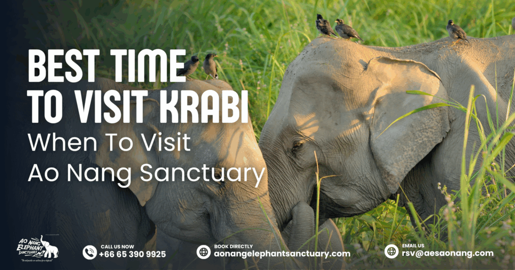 Best Time To Visit Krabi_ When To Visit Ao Nang Sanctuary