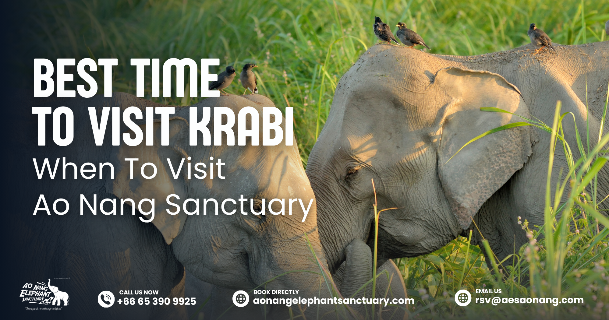 Best Time To Visit Krabi_ When To Visit Ao Nang Sanctuary