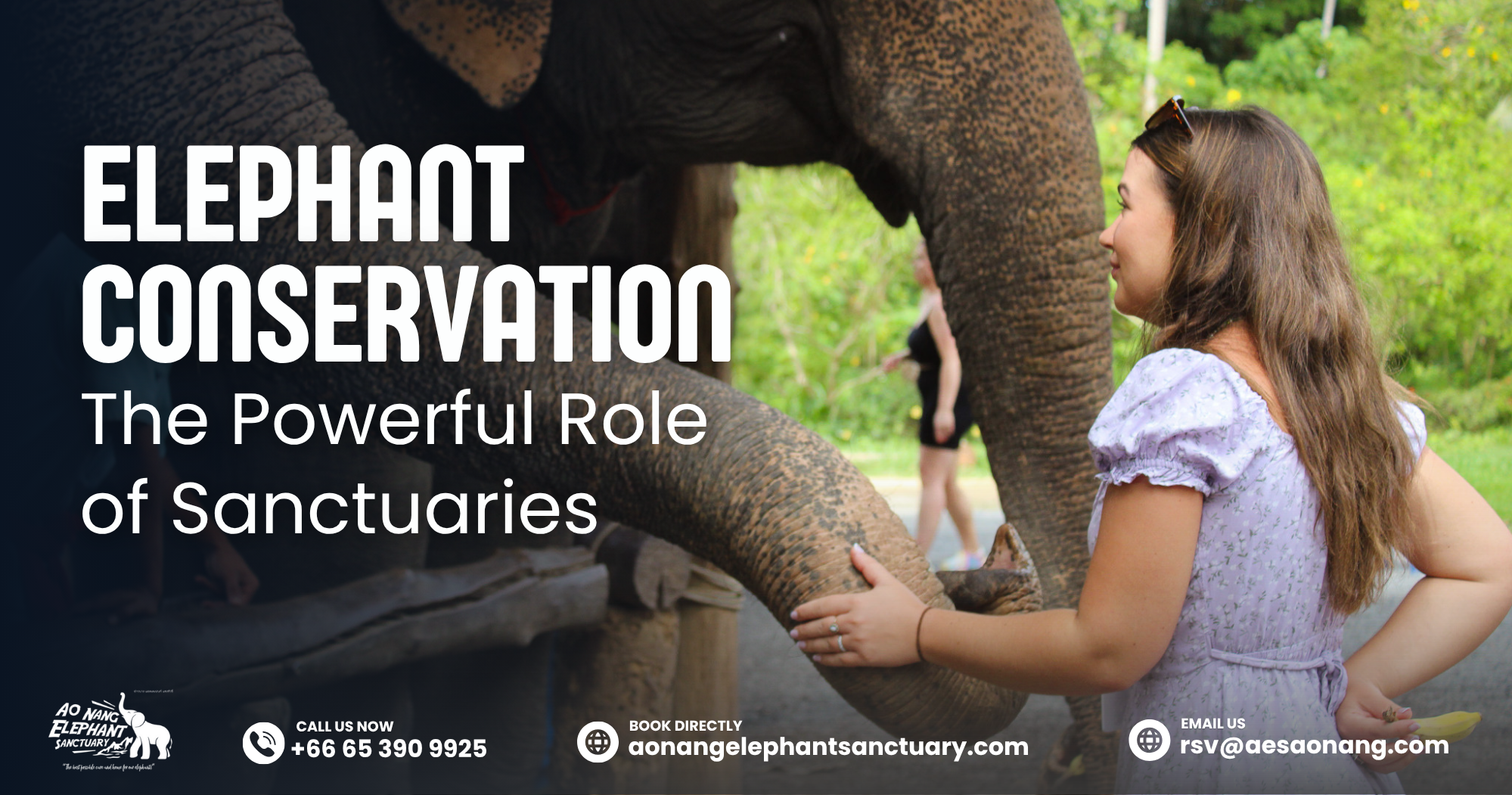Elephant Conservation