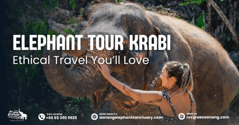 Elephant Tour Krabi: Ethical Travel You’ll Love