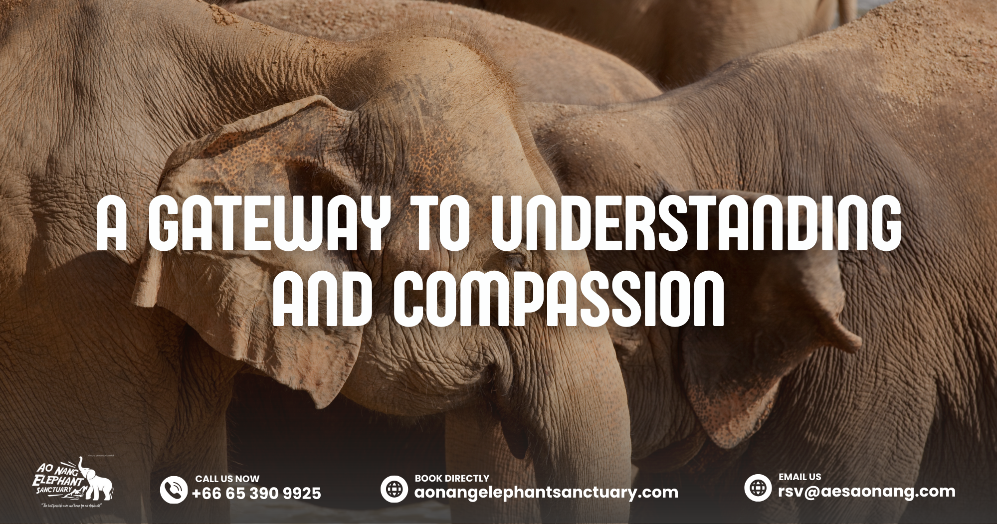 A Gateway To Understanding And Compassion