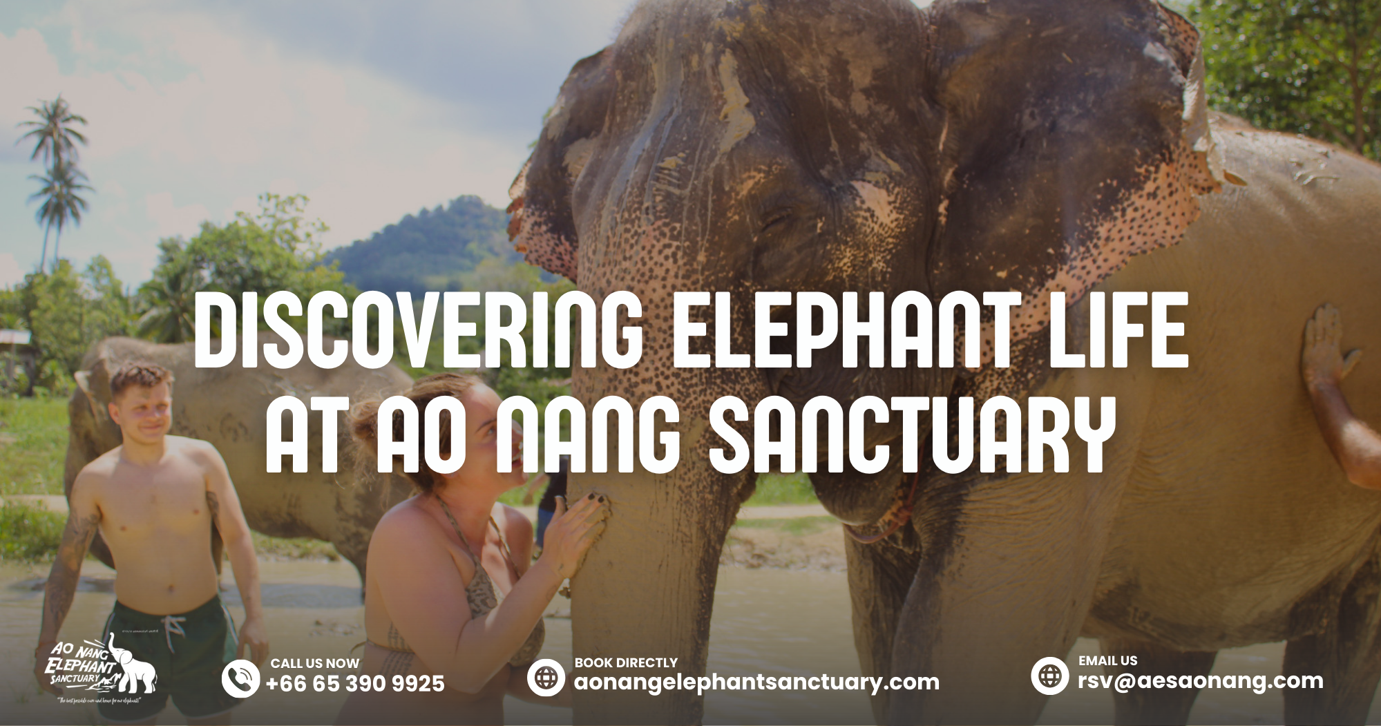 Discovering Elephant Life At Ao Nang Sanctuary