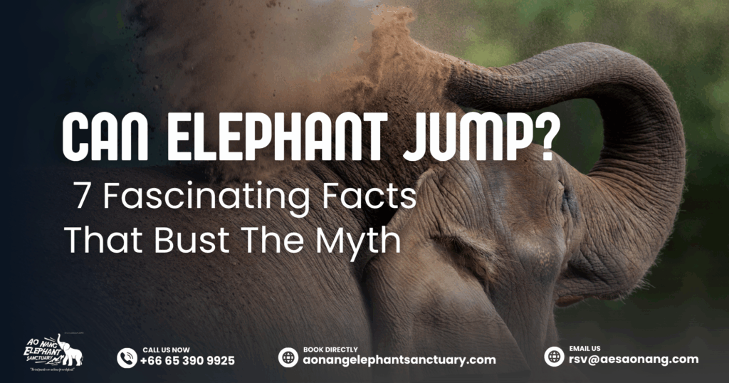 Can Elephant Jump_ 7 Fascinating Facts That Bust The Myth