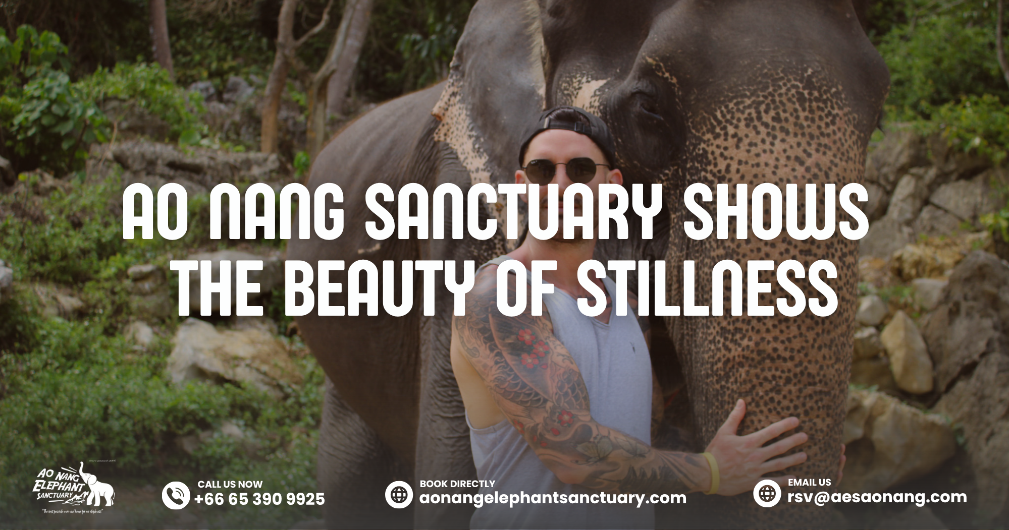Can Elephant Jump_ Ao Nang Sanctuary Shows The Beauty Of Stillness