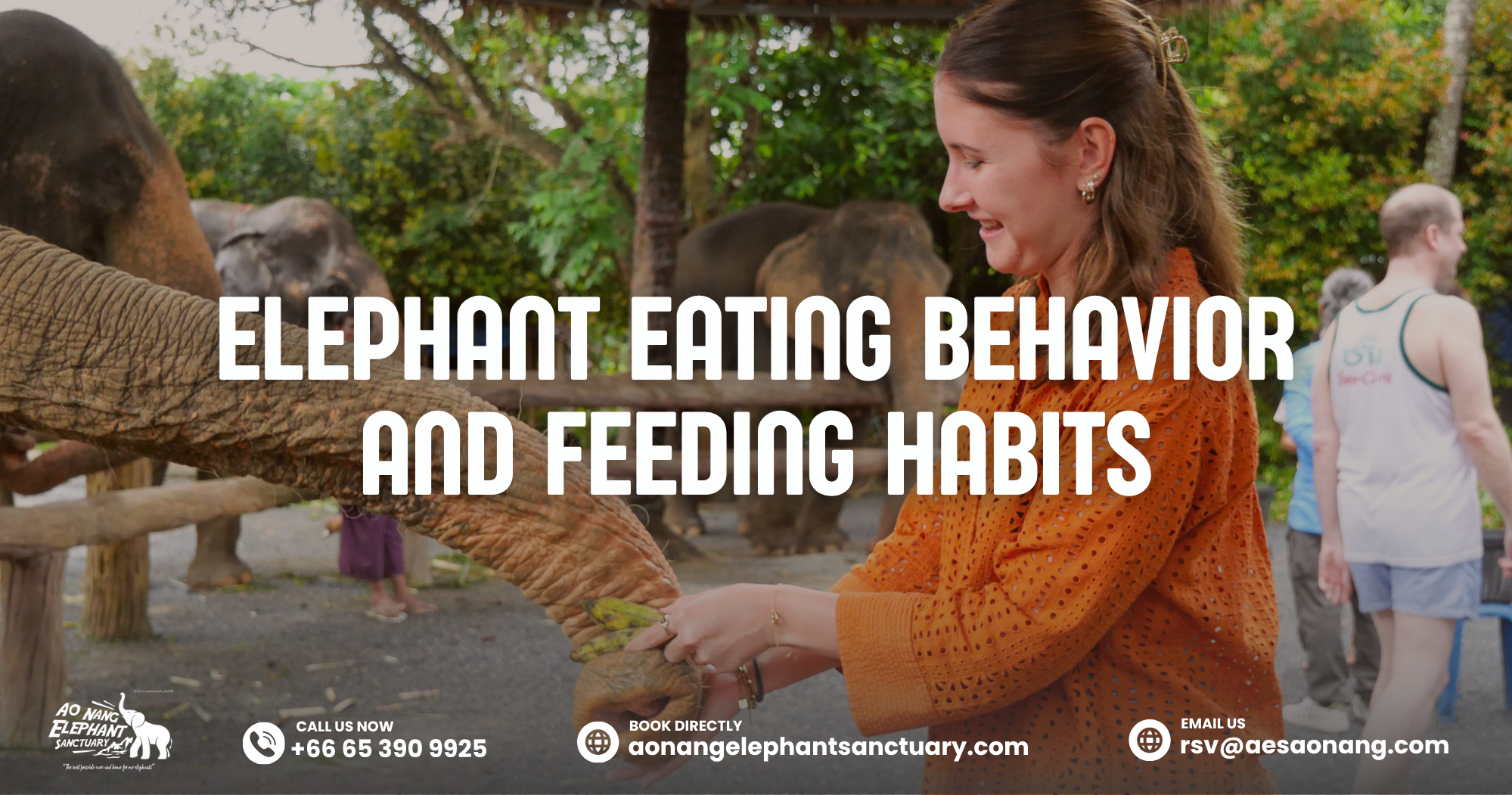 Elephant Eating Behavior And Feeding Habits