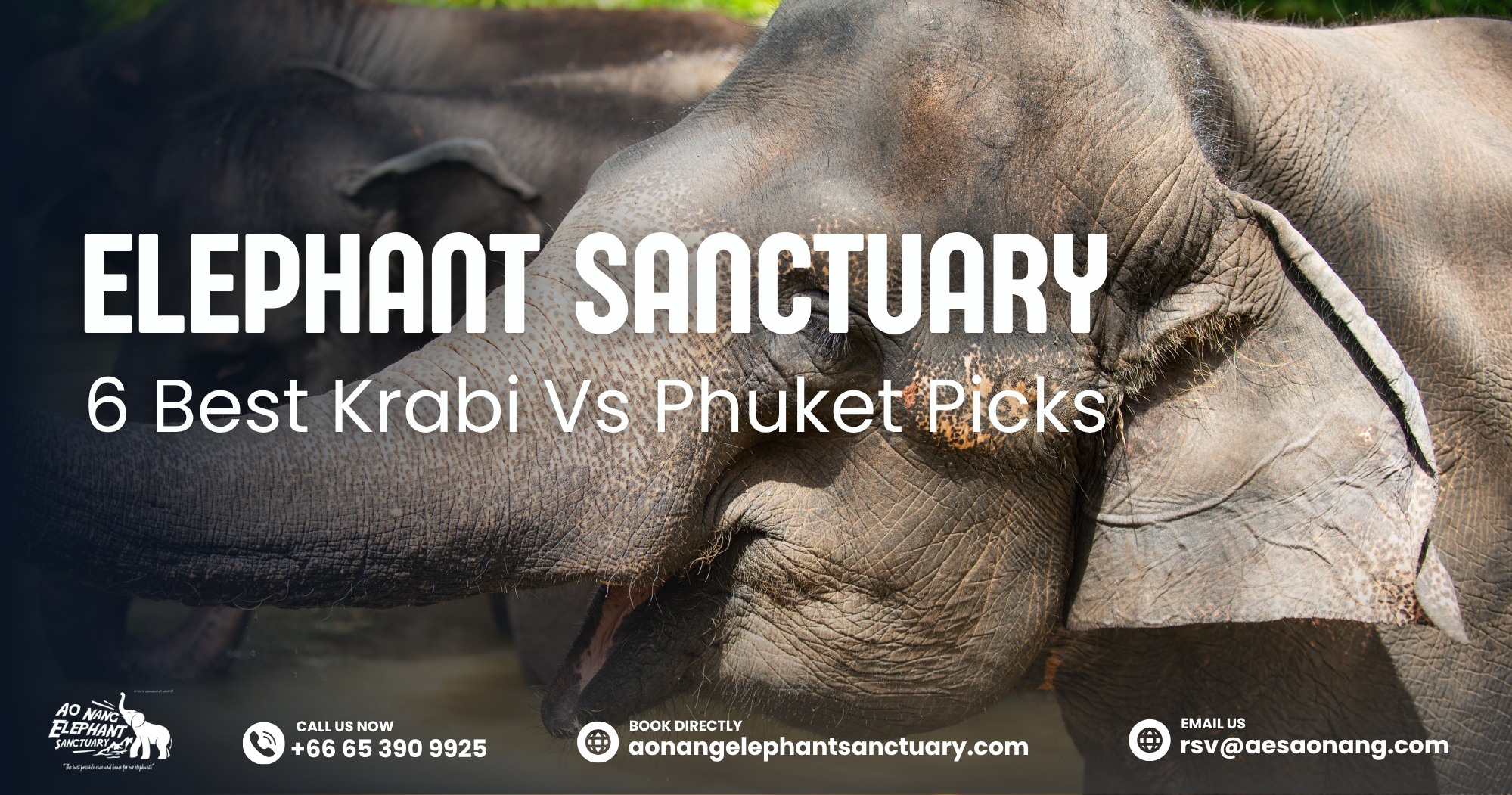Elephant Sanctuary_ 6 Best Krabi Vs Phuket Picks