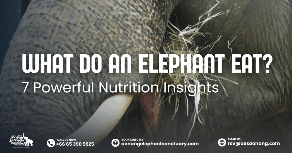 What Do An Elephant Eat_ 7 Powerful Nutrition Insights