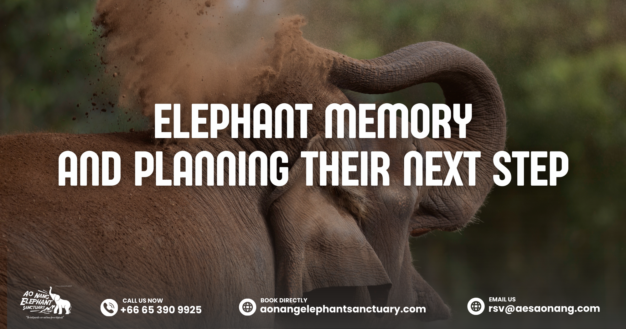 Elephant Memory
