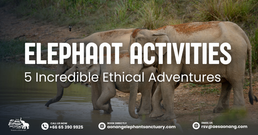 Elephant Activities_ 5 Incredible Ethical Adventures