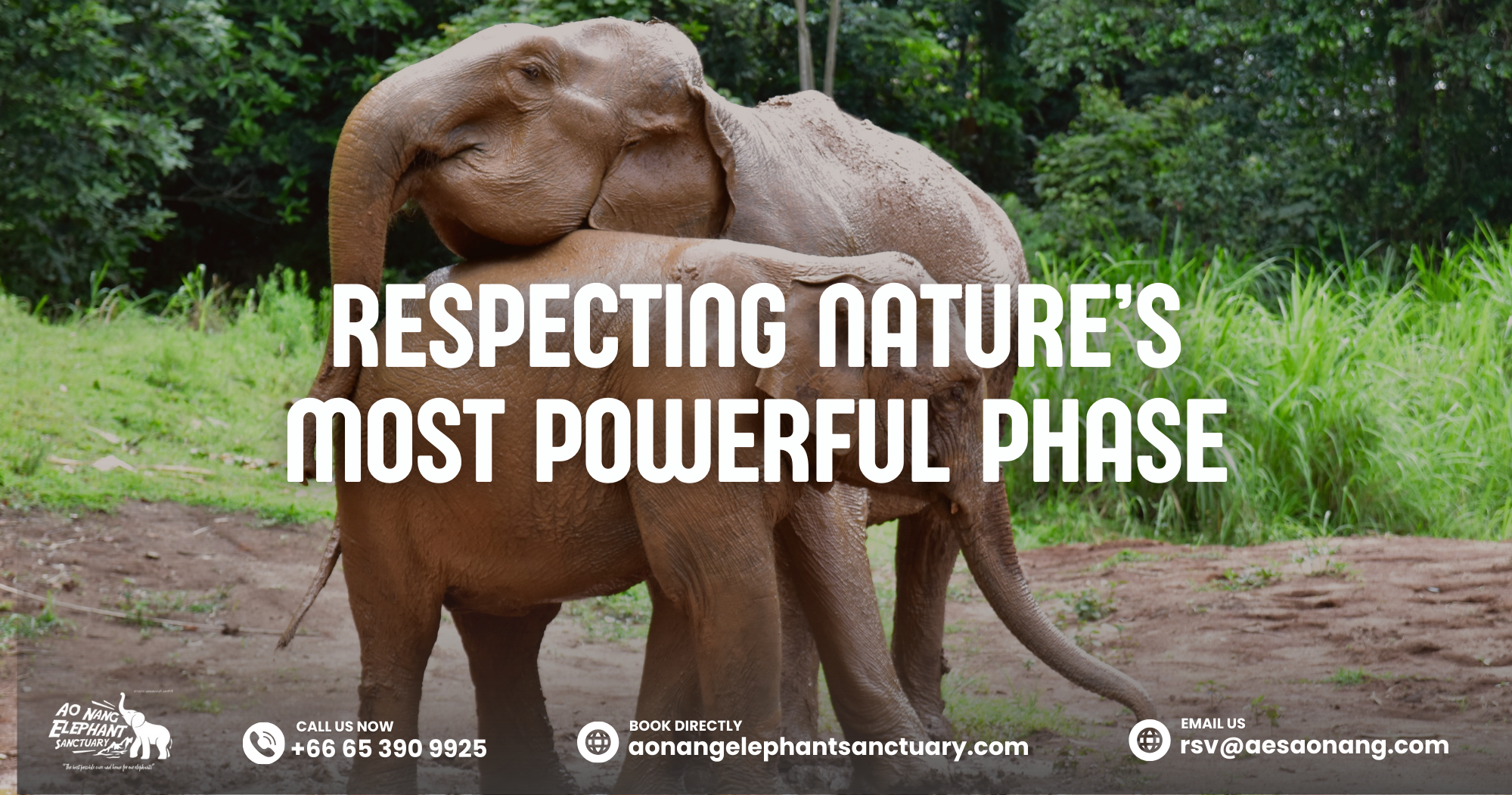 Respecting Nature’s Most Powerful Phase