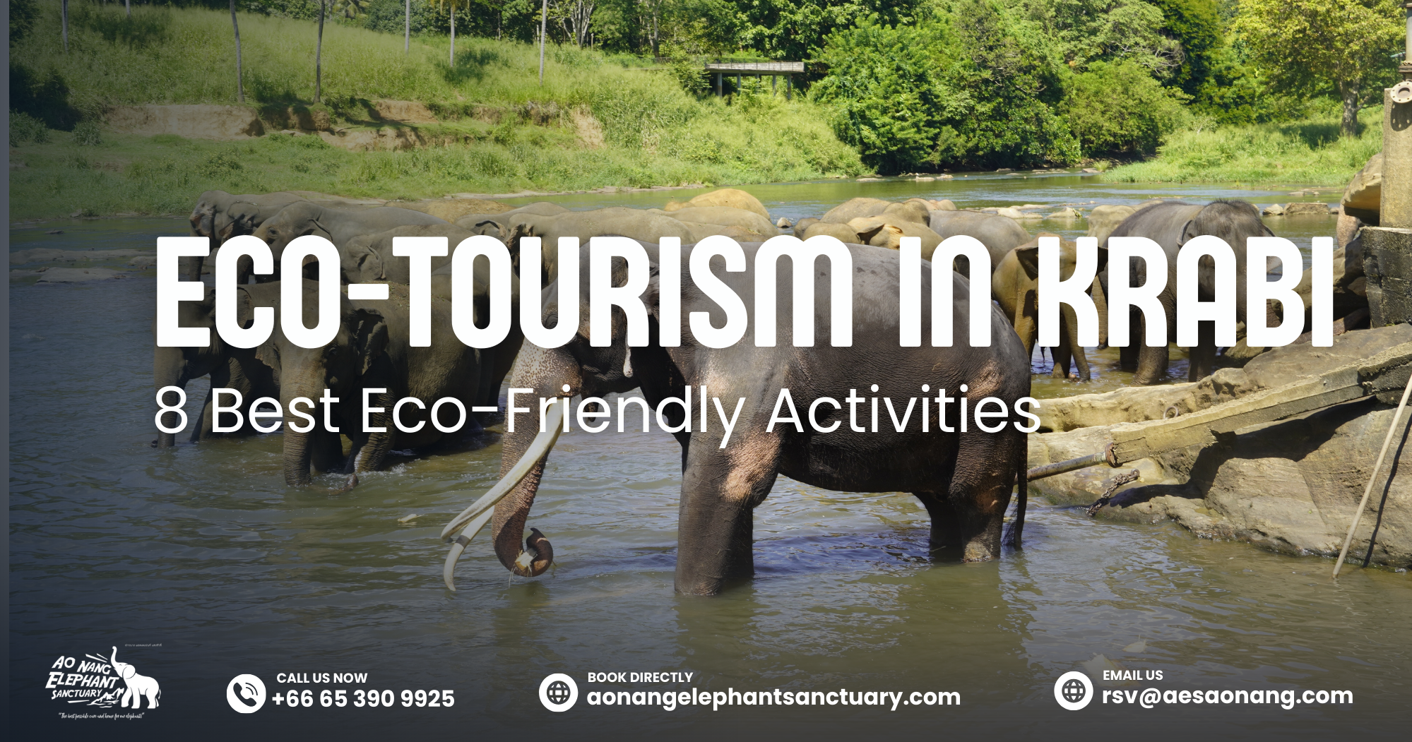 Eco-Tourism In Krabi