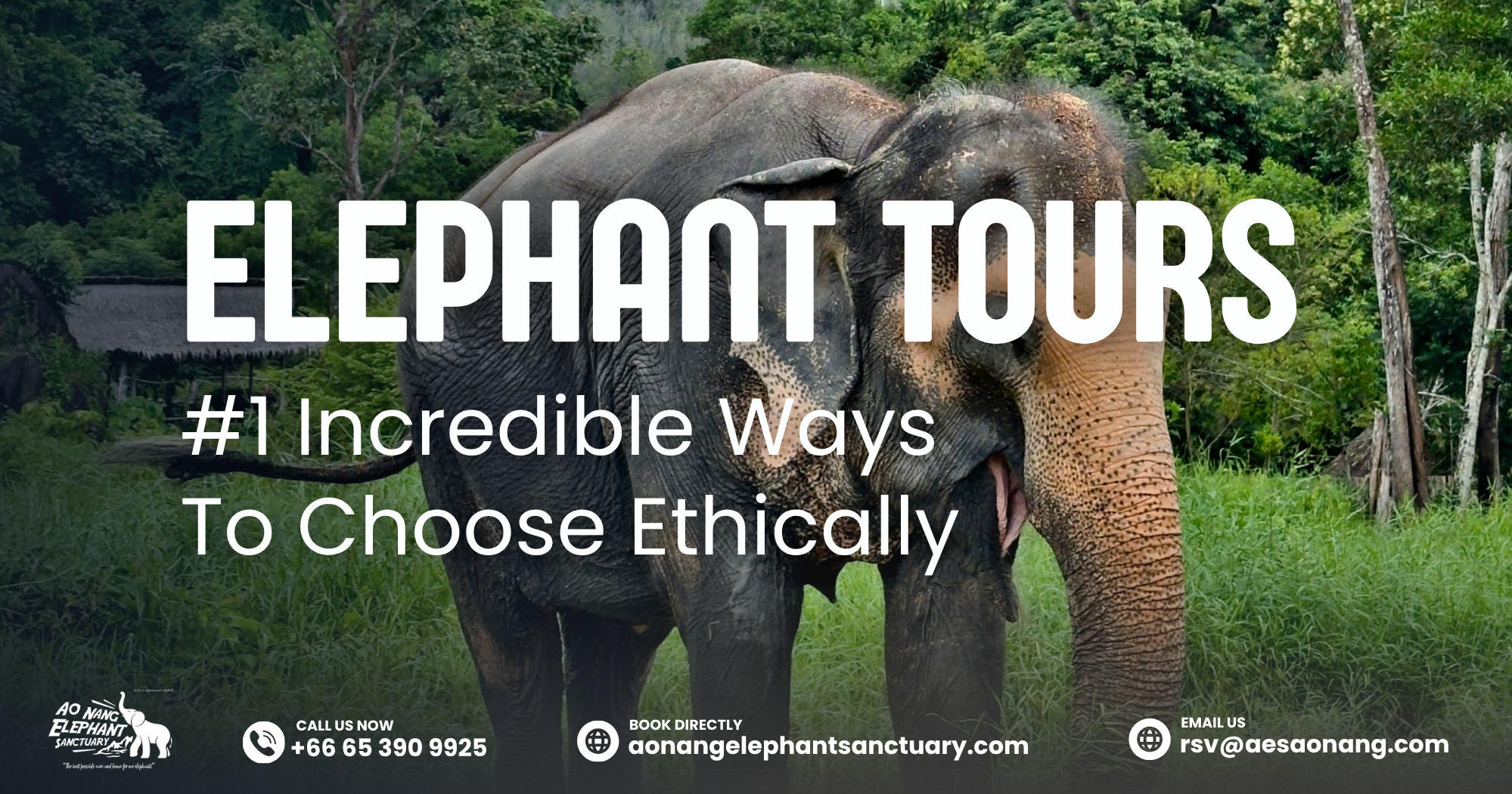 Elephant Tours_ #1 Incredible Ways To Choose Ethically