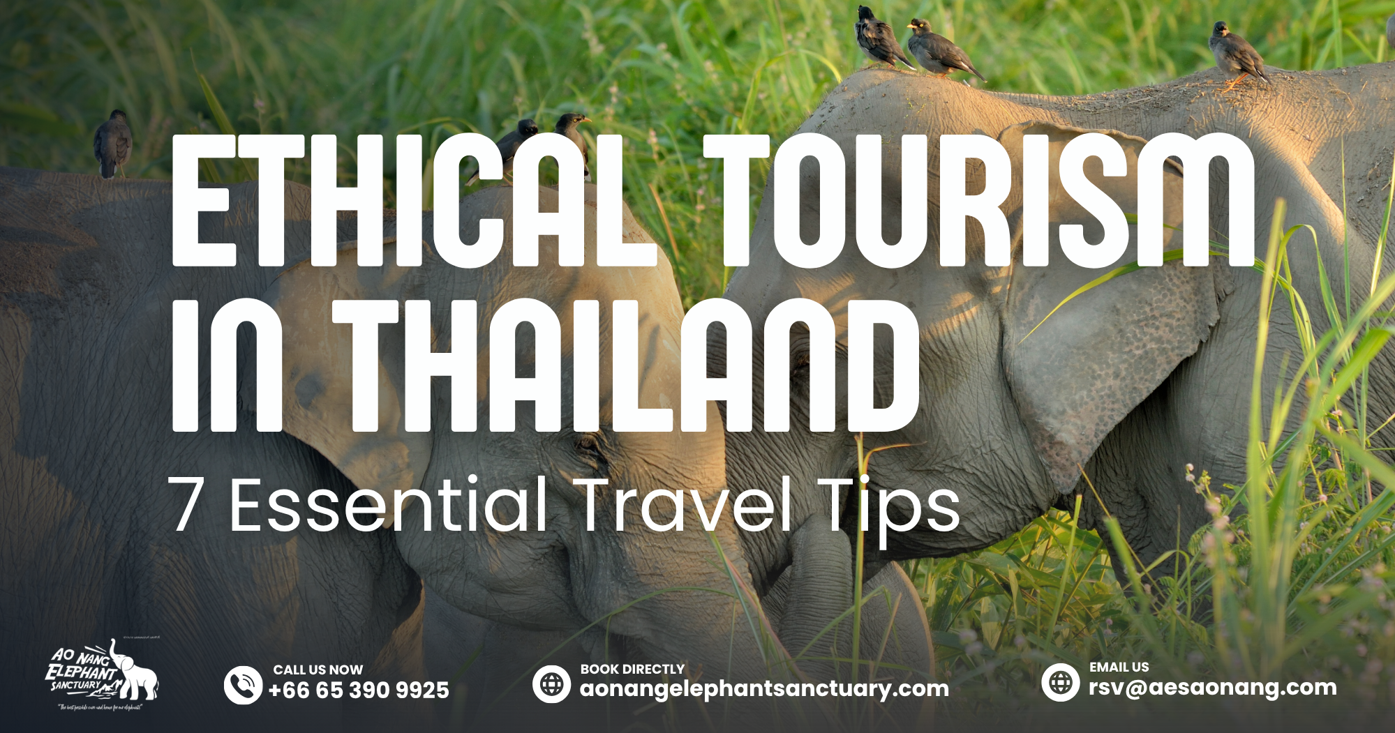 Ethical Tourism in Thailand_ 7 Essential Travel Tips